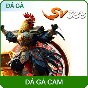 đá gà yg88